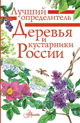 Книга Деревья и кустарники России - купить детской энциклопедии в  интернет-магазинах, цены на Мегамаркет | 1282