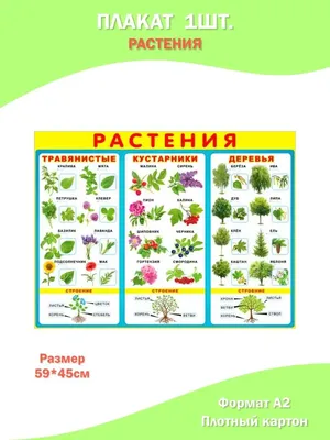 Иллюстрация 1 из 37 для Знакомимся с окружающим миром. Рабочая тетрадь. Для  детей 5-6 лет - Елена Бортникова | Лабиринт - книги. Источник: Лабиринт