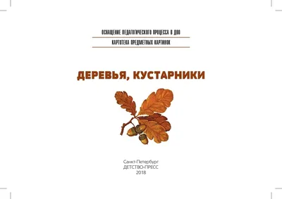 Деревья. Веточки деревьев. Листья. Знакомим детей с названиями деревьев.  Запоминаем как выгл… | Обучающие игры для дошкольников, Природоведение,  География для детей