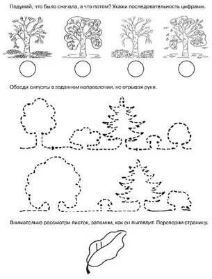 Раскраски Деревья и кустарники скачать и распечатать.