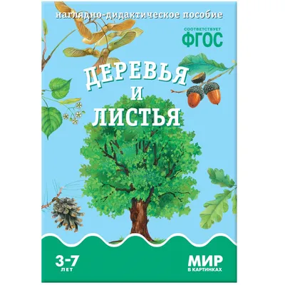 ФГОС Мир в картинках. Деревья и листья. (Т. Минишева) - купить книгу с  доставкой в интернет-магазине «Читай-город». ISBN: 978-5-43-150590-4