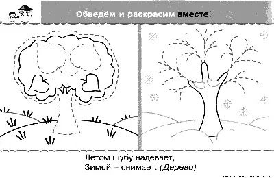 Как деревья и кустарники готовятся к зиме