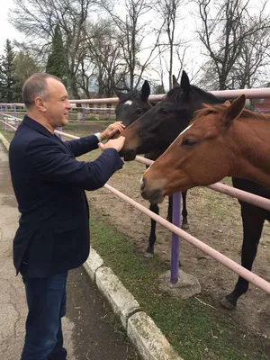 Сергей Станиславович Деревянко — биография