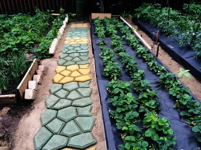 16 идей, из чего можно сделать красивую и практичную садовую дорожку |  Дизайн участка (Огород.ru)