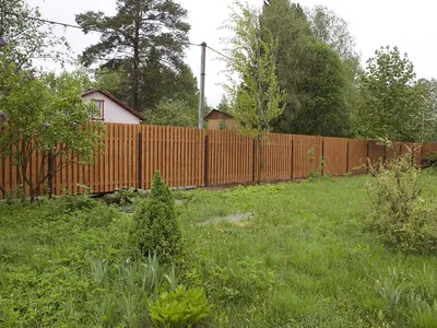 Деревянный забор, купить ограждение из дерева в Киеве, цена в каталоге  интернет магазина забор.укр