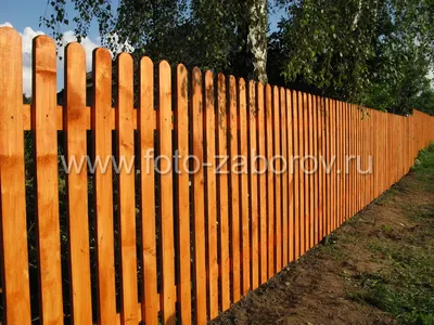 Как забор деревянный сделать своими руками: фото и строительство деревянных  заборов