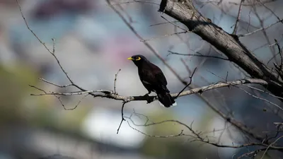 Прикормленное место: в Андреапольский городской парк птиц привлекают  кормушками, а жителей – благоустройством | официальный сайт «Тверские  ведомости»