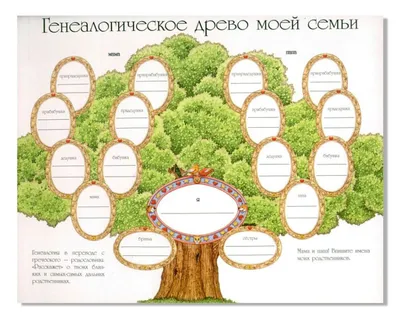 Рисуем семейное дерево поэтапно