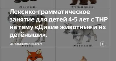 Иллюстрация 1 из 14 для Детёныши животных. Animal Planet | Лабиринт -  книги. Источник: Лабиринт