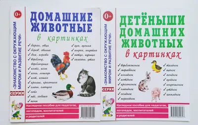 Лексико-грамматическое занятие для детей 4-5 лет с ТНР на тему «Дикие  животные и их детёныши». | Логопед Шамагина Ольга | Дзен