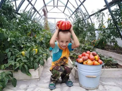 5 вещей, которые хочет иметь на даче каждый ребенок – блог  интернет-магазина Порядок.ру