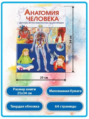 Книга Malamalama Анатомия человека с объемными картинками для детей купить  по цене 490 ₽ в интернет-магазине Детский мир