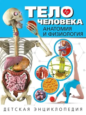 Владис Тело человека. Анатомия и физиология. Детская энциклопедия