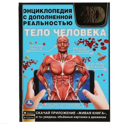 Стенд тактильно-звуковой Анатомия человека (с индукционной петлей): купить  для школ и ДОУ с доставкой по всей России