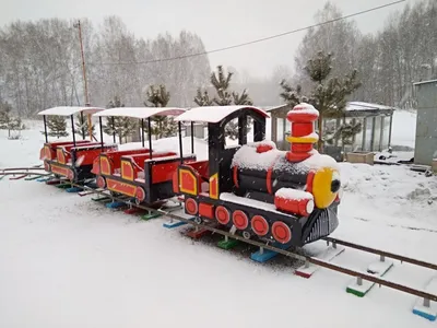 Новый пассажирский сезон Детской железной дороги открылся в Иркутске -  PrimaMedia.ru