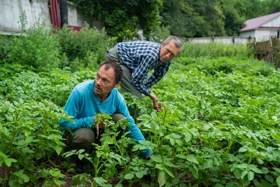 Блондинка развлекается в реке в резиновых сапогах на даче | Премиум Фото