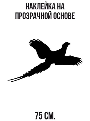 На Ямале подсчитали дичь: подросли стада диких оленей, больше стало и  боровой птицы | «Красный Север»