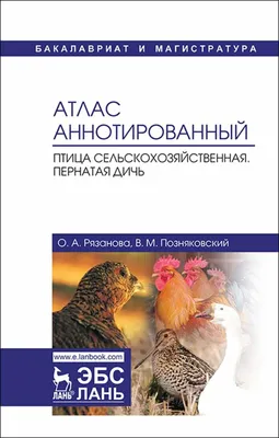 19.09.23,-водоплавающая и степная дичь. / Охотничьи фото: С полем!!! /  Сибирский охотник