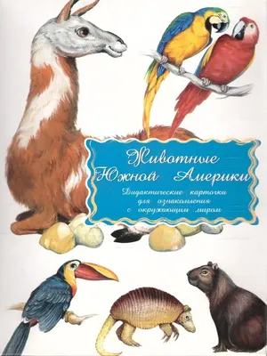 Дидактические карточки \"Животные Южной Америки\" Маленький гений-Пресс  67142798 купить в интернет-магазине Wildberries