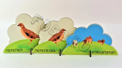 Набор деревянных фигурок на подставках ДОМАШНИЕ ПТИЦЫ 21 штука, 10 - 15 см  с Дополненной реальностью! ИО-309