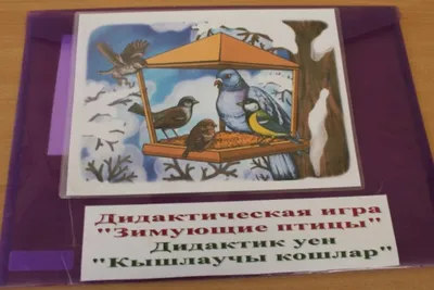 Дидактическая игра «Зимующие птицы» (6 фото). Воспитателям детских садов,  школьным учителям и педагогам - Маам.ру