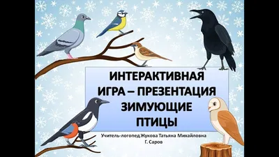 Купить Дидактическая игра. Перелетные и зимующие птицы. Ранок 15211033У  недорого