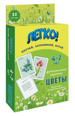 Легко! Дидактические карточки \"Овощи и фрукты\" (4-7 лет) — купить книгу в  Минске — Biblio.by