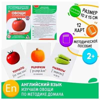 Обучающие карточки: Овощи на английском языке, 12 карт, А6 — купить в  интернет-магазине по низкой цене на Яндекс Маркете