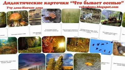 29 Бесплатных Карточек Овощи на Русском | PDF