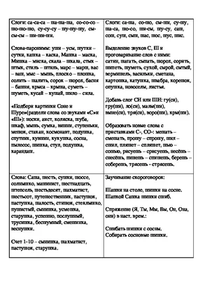 Логопедическое занятие «Дифференциация звуков З – С в слогах и словах». (3  класс)