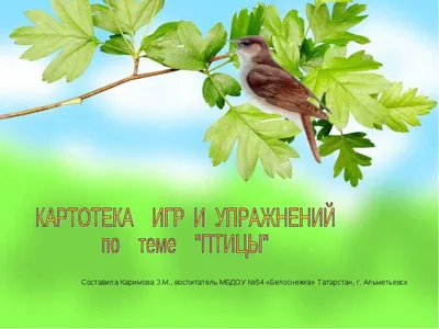 Коррекционно-развивающее занятие во 2-й младшей группе. Тема: «Дикие птицы  зимой»