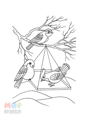 Раскраска Птицы на зимовке — Мир раскрасок