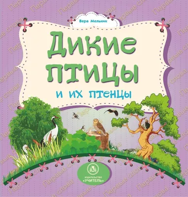 Дикие птицы для детей. Знакомство и особенности птиц. Пальчиковая  гимнастика. Видеозанятие для детей - YouTube