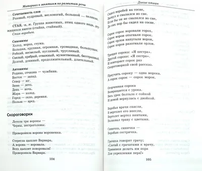 Животные Птицы Темнокрышкой Bulbul Природы Дикой Природы Деревья Оставляет  Пару Пара — стоковые фотографии и другие картинки Африка - iStock