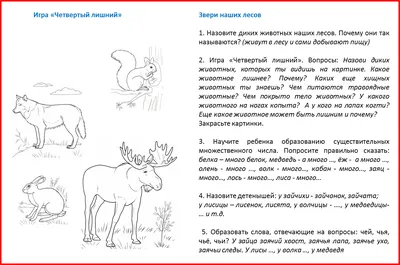 Дикие животные леса картинки для детей (Много фото!) - drawpics.ru