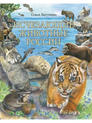 Лэпбук на тему \"Дикие животные\" - Дидактические пособия от сайта Время  Знаний