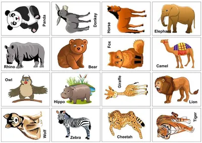 Карточки с животными для детей | Animal flashcards, Printable animal  pictures, Animals wild