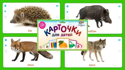 Карточки Домана Дикие животные на украинском (95207). Развивающие детские  карточки