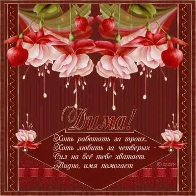 С Днем рождения, Дима: картинки
