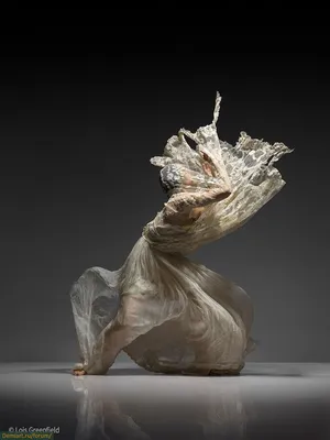 Динамичные фотографии танцоров | Lois greenfield, Dance photography, Dance  images