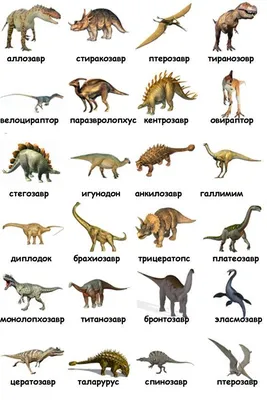 Динозавры Картинки фотографии