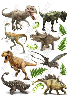 Картинки для торта Динозавры dinozavr018 печать на сахарной бумаге |  Edible-printing.ru