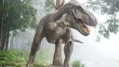 динозавры PNG , юрский, мультфильм динозавров, древние биологические PNG  картинки и пнг рисунок для бесплатной загрузки
