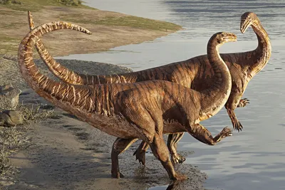 51,297 динозавр стоковые фото – бесплатные и стоковые фото RF от Dreamstime