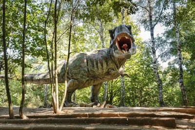 Похоже, крупные динозавры были обречены на вымирание задолго до падения  астероида 66 млн лет назад. В чем же причина?