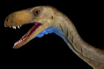 51,297 динозавр стоковые фото – бесплатные и стоковые фото RF от Dreamstime