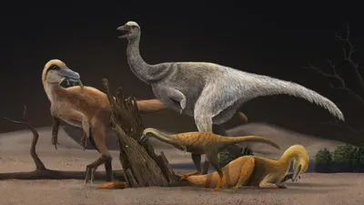 Динозавр Attivio Тиранозавр купить по цене 2499 ₽ в интернет-магазине  Детский мир