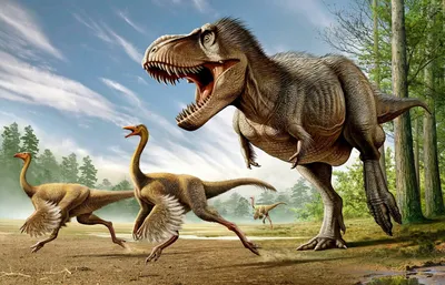 Динозавры и элементы ландшафта флоры Иллюстрация вектора - иллюстрации  насчитывающей стегозавр, изолировано: 211953395