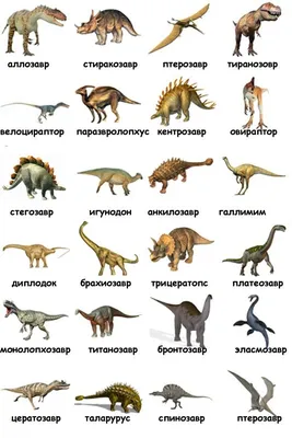 Картинки динозавров | Детское развитие | Динозавр, Динозавры, Животные