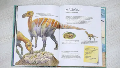 Съедобные картинки на сахарной бумаге для капкейков \"Динозавры и  динозаврики\" №016 на торт, маффин, капкейк или пряник | \"CakePrint\"™ -  Украина